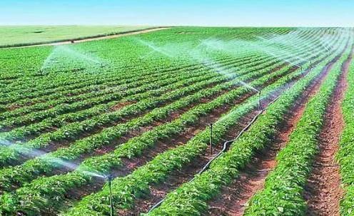 鸡巴捅鸡巴网农田高 效节水灌溉